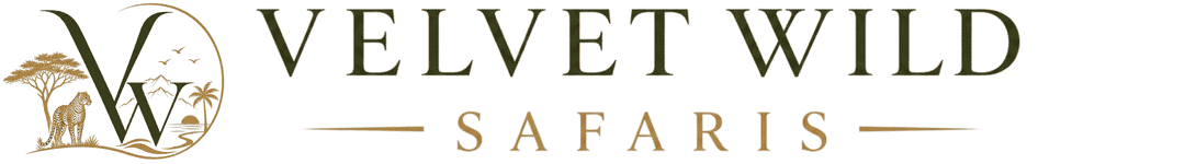 Velvet Wild Safaris