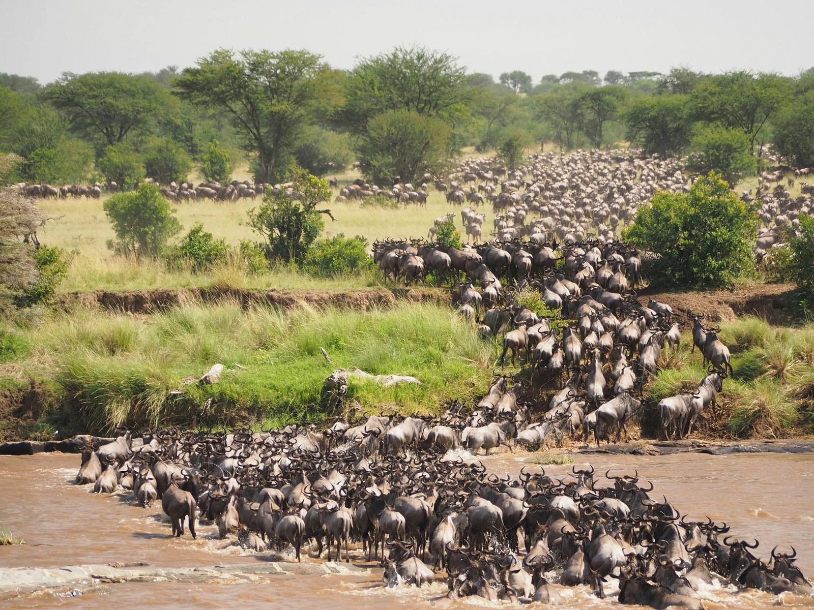 East Africa